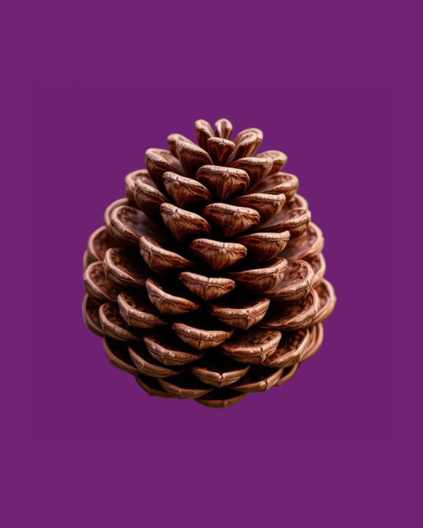 PineSmell